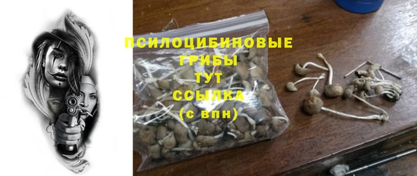 гашишное масло Заводоуковск