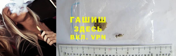 PSILOCYBIN Горно-Алтайск
