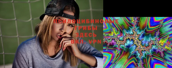 PSILOCYBIN Горно-Алтайск