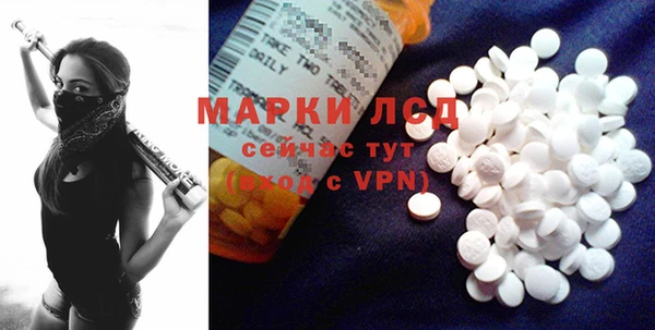 PSILOCYBIN Горно-Алтайск