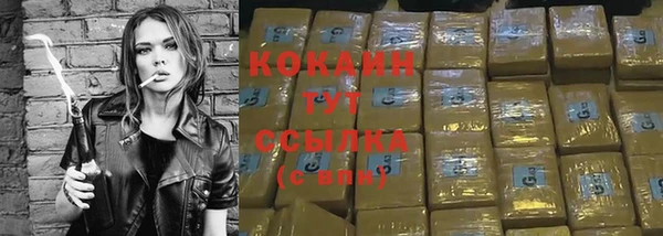 PSILOCYBIN Горно-Алтайск