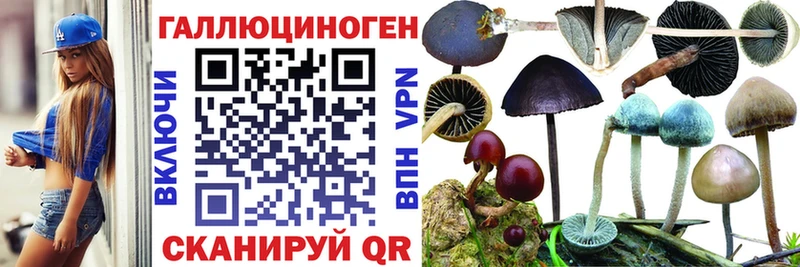 Псилоцибиновые грибы GOLDEN TEACHER Купить где Киржач